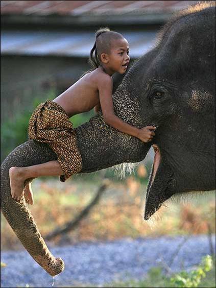 Μαθήματα τρυφερότητας από τα παιδιά του κόσμου και τους τετράποδους φίλους τους [εικόνες] | iefimerida.gr 5