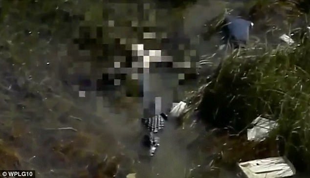 Απίστευτο: Εντόπισαν πιλότο μετά τη συντριβή τη στιγμή που τον κατασπάραζε αλιγάτορας [βίντεο] | iefimerida.gr 0