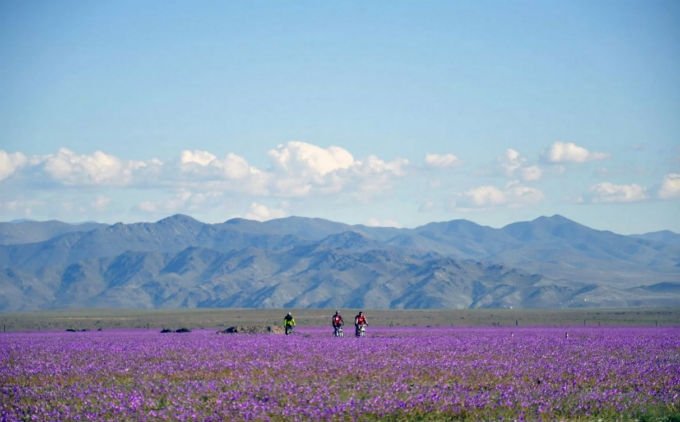Πώς το Ελ Νίνιο έκανε χρωματιστό το πιο ξηρό μέρος του πλανήτη [εικόνες] | iefimerida.gr 2