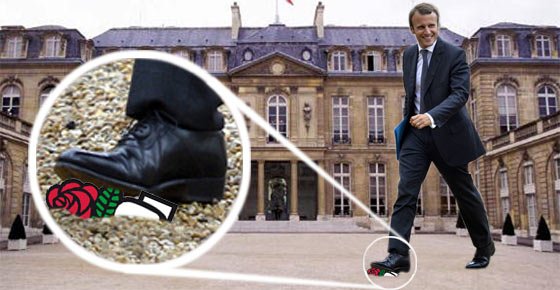 «Βόμβα» το κόμμα του Μακρόν -Ο πρώην τραπεζίτης του Ρότσιλντ που έγινε σοσιαλιστής [εικόνες] | iefimerida.gr 4