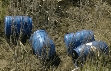 Σοκ-Βρέθηκαν «πεταμένα» σε δάσος 248 ανθρώπινα έμβρυα [εικόνες] | iefimerida.gr 0