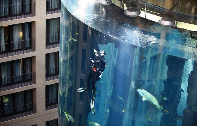 Εχει ασανσέρ και ύψος 24 μέτρα - Το μεγαλύτερο κυλινδρικό ενυδρείο του κόσμου βρίσκεται στο Βερολίνο [εικόνες]   | iefimerida.gr 2