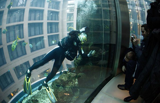 Εχει ασανσέρ και ύψος 24 μέτρα - Το μεγαλύτερο κυλινδρικό ενυδρείο του κόσμου βρίσκεται στο Βερολίνο [εικόνες]   | iefimerida.gr 3