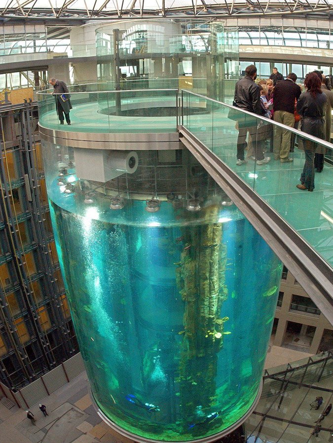 Εχει ασανσέρ και ύψος 24 μέτρα - Το μεγαλύτερο κυλινδρικό ενυδρείο του κόσμου βρίσκεται στο Βερολίνο [εικόνες]   | iefimerida.gr 4