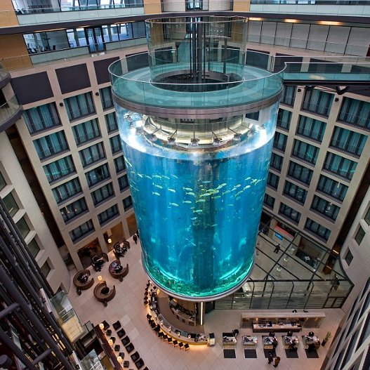 Εχει ασανσέρ και ύψος 24 μέτρα - Το μεγαλύτερο κυλινδρικό ενυδρείο του κόσμου βρίσκεται στο Βερολίνο [εικόνες]   | iefimerida.gr 1