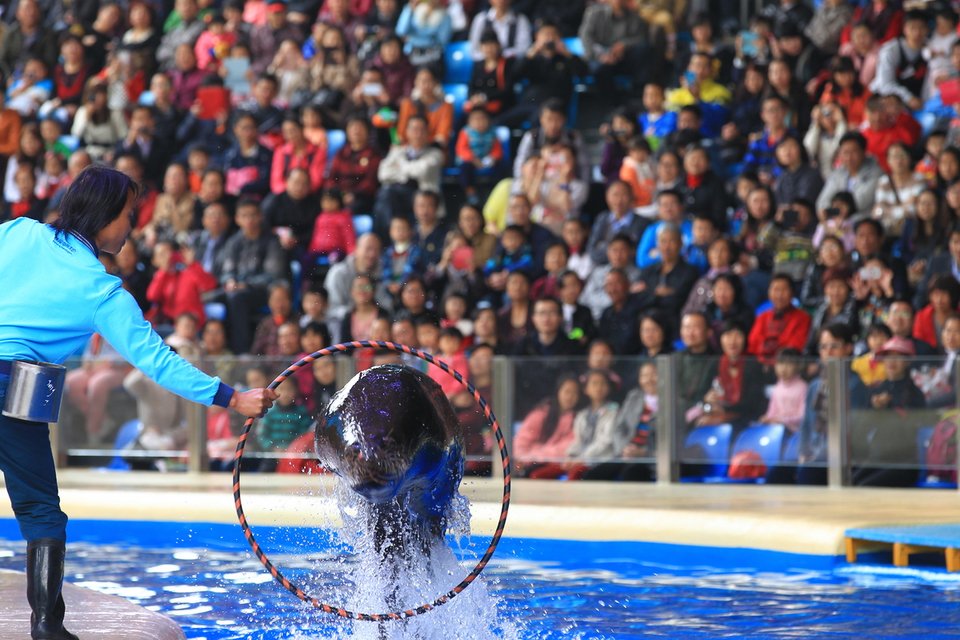 Μαγευτικές εικόνες από έναν υδάτινο παράδεισο -Το μεγαλύτερο ενυδρείο του κόσμου έχει ήδη σπάσει 5 ρεκόρ Γκίνες [εικόνες] | iefimerida.gr 6