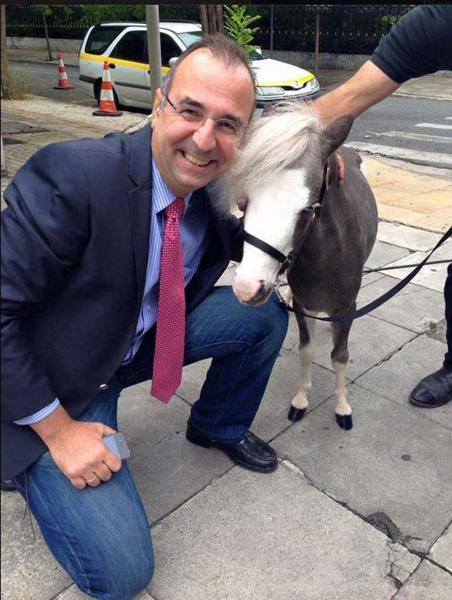 Τι δουλειά είχε ένα πόνυ έξω από το Μέγαρο Μαξίμου; [εικόνες] | iefimerida.gr 2