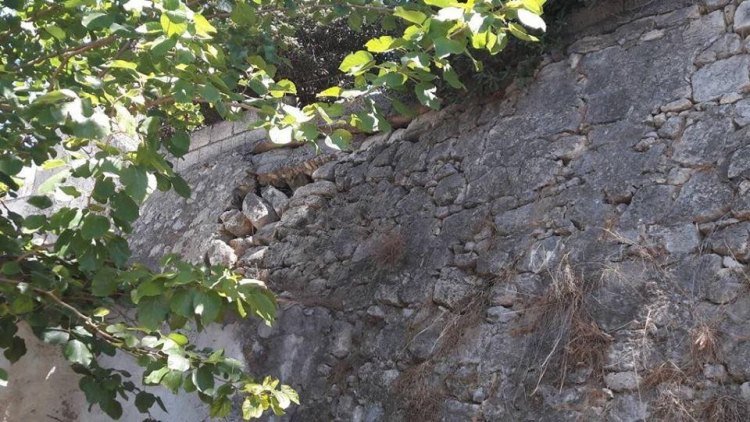 Απίστευτο: Κλέβουν πέτρες από ενετικό τοίχος της Κρήτης για να βγάλουν λεφτά- Κινδυνεύει να πέσει [εικόνες] | iefimerida.gr 2