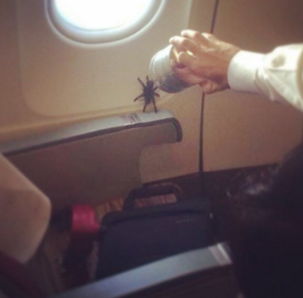 Η ντροπή των επιβατών αεροπλάνων: Γυμνά πόδια στα κεφάλια άλλων, σακουλάκια με ούρα, λυμένες ζώνες [εικόνες] | iefimerida.gr 22