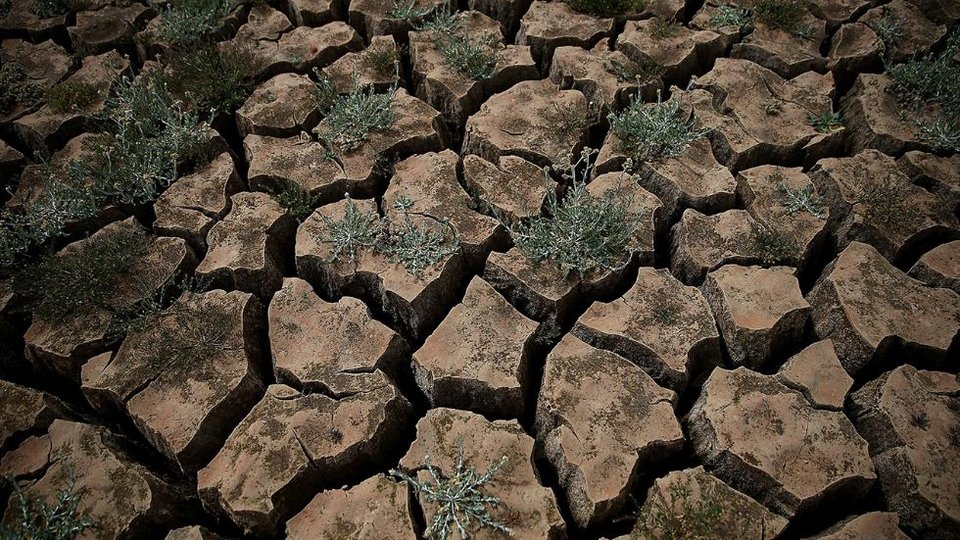 Οι 10 εικόνες που άλλαξαν τον τρόπο που σκεφτόμαστε για το περιβάλλον | iefimerida.gr 6