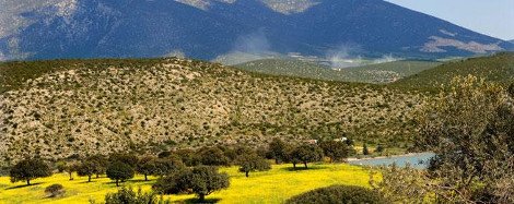 Πώς μια άγρια, ανεμοδαρμένη περιοχή στο Λασίθι και ένα ψαροχώρι στην Αργολίδα θα γίνουν μοναδικής χλιδής θέρετρα [εικόνες] | iefimerida.gr 4