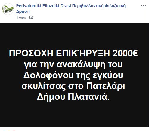 Χανιά: Επικήρυξαν με 2.000 ευρώ αυτόν που σκότωσε την έγκυο σκυλίτσα | iefimerida.gr 0