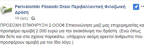 Χανιά: Επικήρυξαν με 2.000 ευρώ αυτόν που σκότωσε την έγκυο σκυλίτσα | iefimerida.gr 1