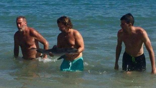 Ασυνείδητοι τουρίστες τραβούσαν selfies με δελφινάκι, μέχρι που πέθανε [εικόνες]  | iefimerida.gr 0