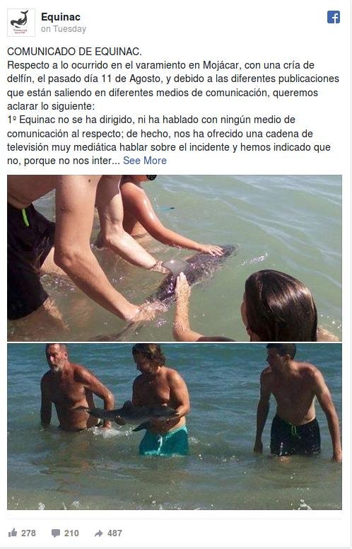 Ασυνείδητοι τουρίστες τραβούσαν selfies με δελφινάκι, μέχρι που πέθανε [εικόνες]  | iefimerida.gr 1