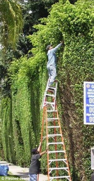 Αυτά είναι τα πιο επικίνδυνα επαγγέλματα -Αστείες στιγμές από εργάτες που ξεγελούν τον θάνατο [εικόνες] | iefimerida.gr 3