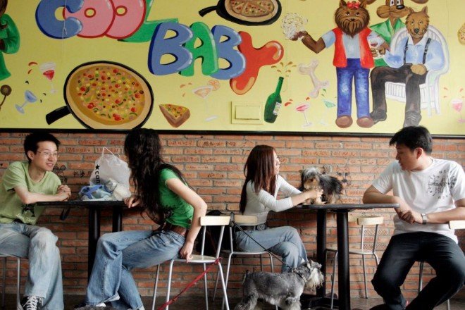 Οι εστιάτορες που «τρελάθηκαν»: Τα δέκα πιο παράξενα φαγάδικα στον κόσμο [εικόνες]  | iefimerida.gr 2