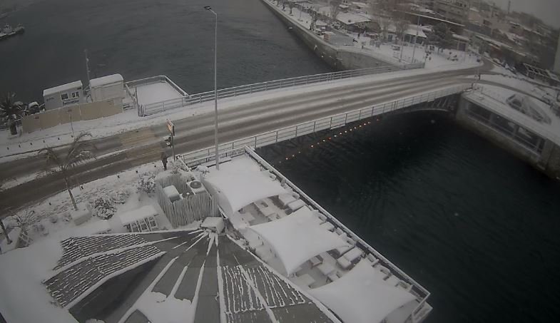 Μετρούν τις πληγές τους από τον χιονιά στη Στερεά Ελλάδα [εικόνες] | iefimerida.gr 3