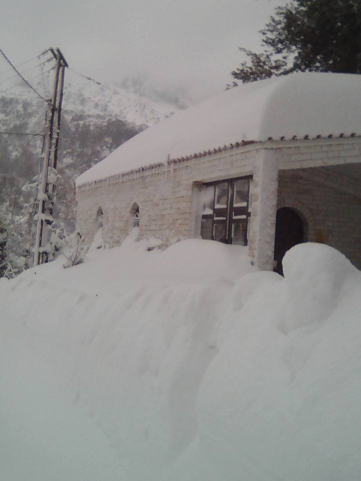 Μετρούν τις πληγές τους από τον χιονιά στη Στερεά Ελλάδα [εικόνες] | iefimerida.gr 2