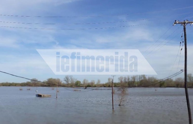 Τουλάχιστον 20.000 στρέμματα έχουν πλημμυρίσει μόνο στο Διδυμότειχο -Η καταγραφή των ζημιών στον Εβρο [εικόνες] | iefimerida.gr 2