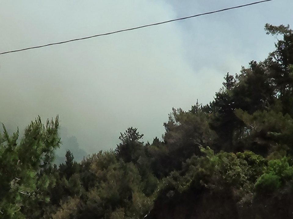 Συνεχίζεται η μάχη με τις φλόγες στη Σάμο [εικόνες] | iefimerida.gr 0