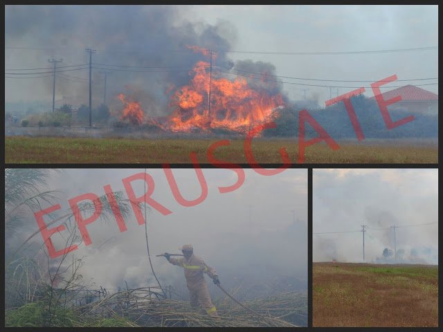 Πυρκαγιά στο Ακτιο - Οι φλόγες απείλησαν κατοικίες [εικόνα]  | iefimerida.gr 0