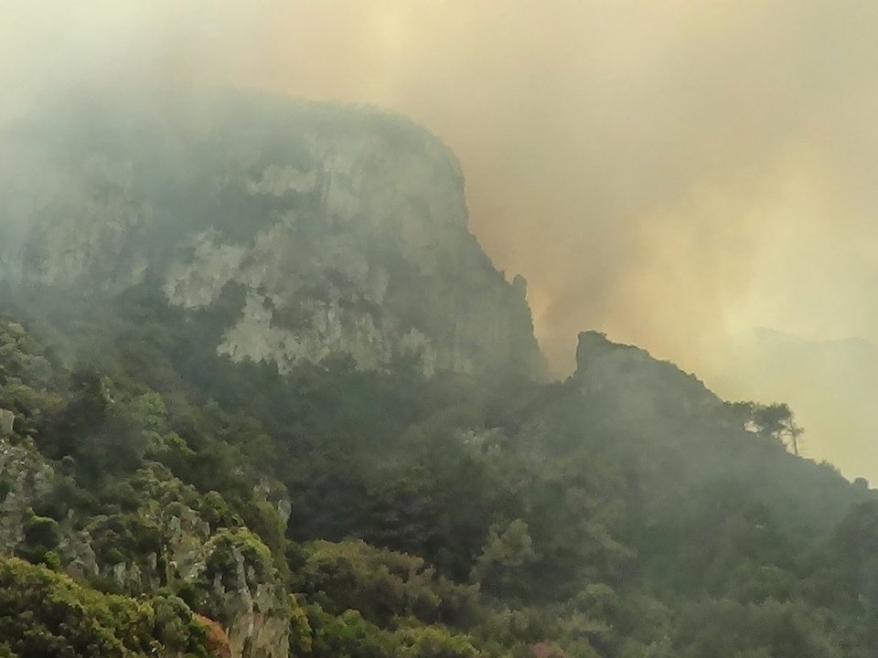 Συνεχίζεται η μάχη με τις φλόγες στη Σάμο [εικόνες] | iefimerida.gr 3