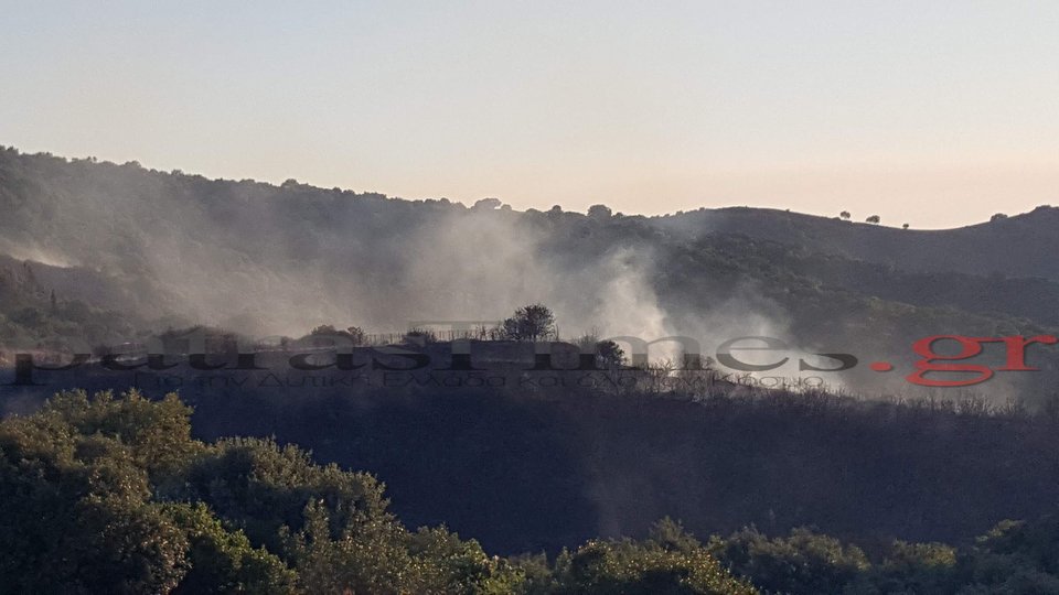 Ολονύχτια μάχη με τις φλόγες στην Αχαΐα [εικόνες & βίντεο] | iefimerida.gr 3