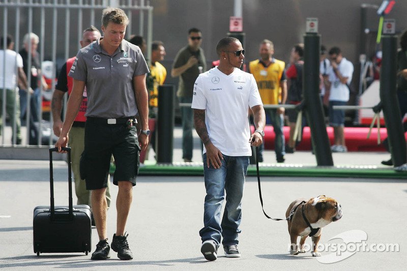 Το μπουλντόγκ του Χάμιλτον έκλεψε την παράσταση στα βραβεία [εικόνες & βίντεο] | iefimerida.gr 4