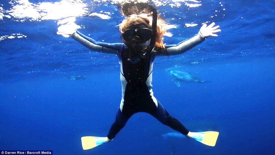 Μια μοναδική φιλία στα 500 μέτρα βάθος-Τα παιδιά που κολυμπούν με φάλαινες 40 τόνων [εικόνες] | iefimerida.gr 6