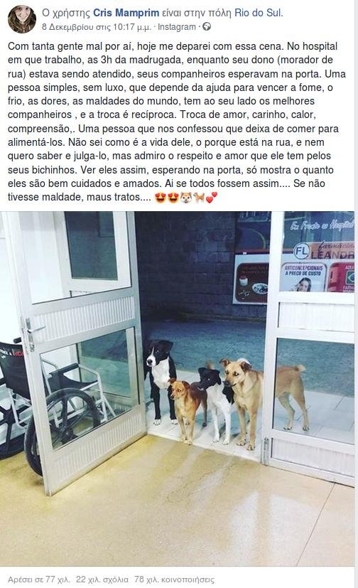 H συγκινητική ιστορία τεσσάρων σκύλων που περίμεναν στην είσοδο νοσοκομείου [εικόνες] | iefimerida.gr 0
