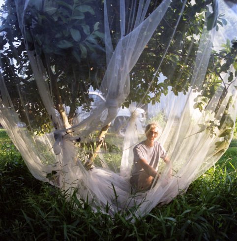 Faerieland: Η άγνωστη γκέι αγροτική κοινότητα της Αυστραλίας που παρέχει ένα ασφαλές καταφύγιο [εικόνες]  | iefimerida.gr 9