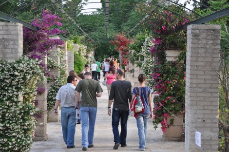 Κάτι νόστιμο μαγειρεύεται κάθε Κυριακή στο Κέντρο της Γης - Δωρεάν μαθήματα μαγειρικής και πολλές ακόμη δράσεις [εικόνες]  | iefimerida.gr 1