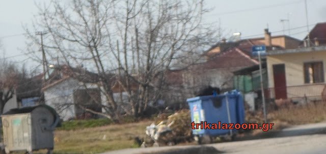 Τρίκαλα: Ανθρωπος έχει μπει ολόκληρος στον κάδο για λίγο φαγητό [εικόνες] | iefimerida.gr 2