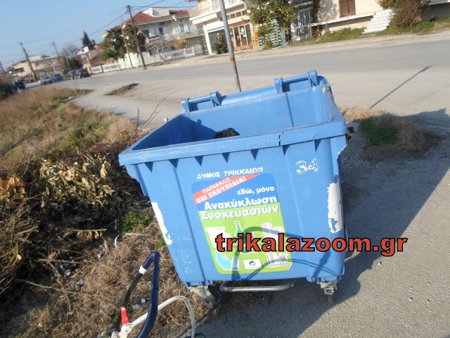 Τρίκαλα: Ανθρωπος έχει μπει ολόκληρος στον κάδο για λίγο φαγητό [εικόνες] | iefimerida.gr 0