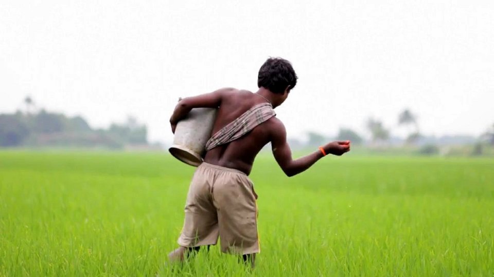 Προβολές με θέμα την τροφή, το δίκαιο εμπόριο, την κοινωνική και αλληλέγγυα οικονομία [πρόγραμμα]  | iefimerida.gr 0