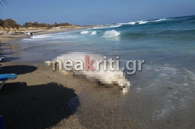 Κρήτη: Ξεβράστηκε νεκρή φάλαινα 4 τόνων [εικόνες] | iefimerida.gr 0