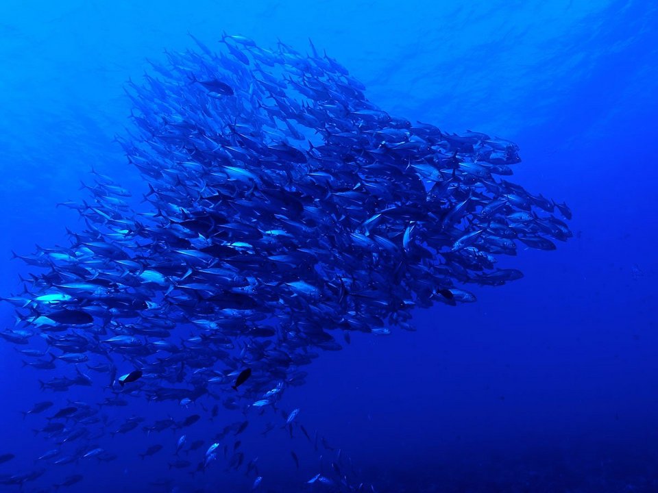 Business Insider: 23 άγνωστοι προορισμοί, εκπληκτικής ομορφιάς -Ενας στην Ελλάδα [εικόνες] | iefimerida.gr 18