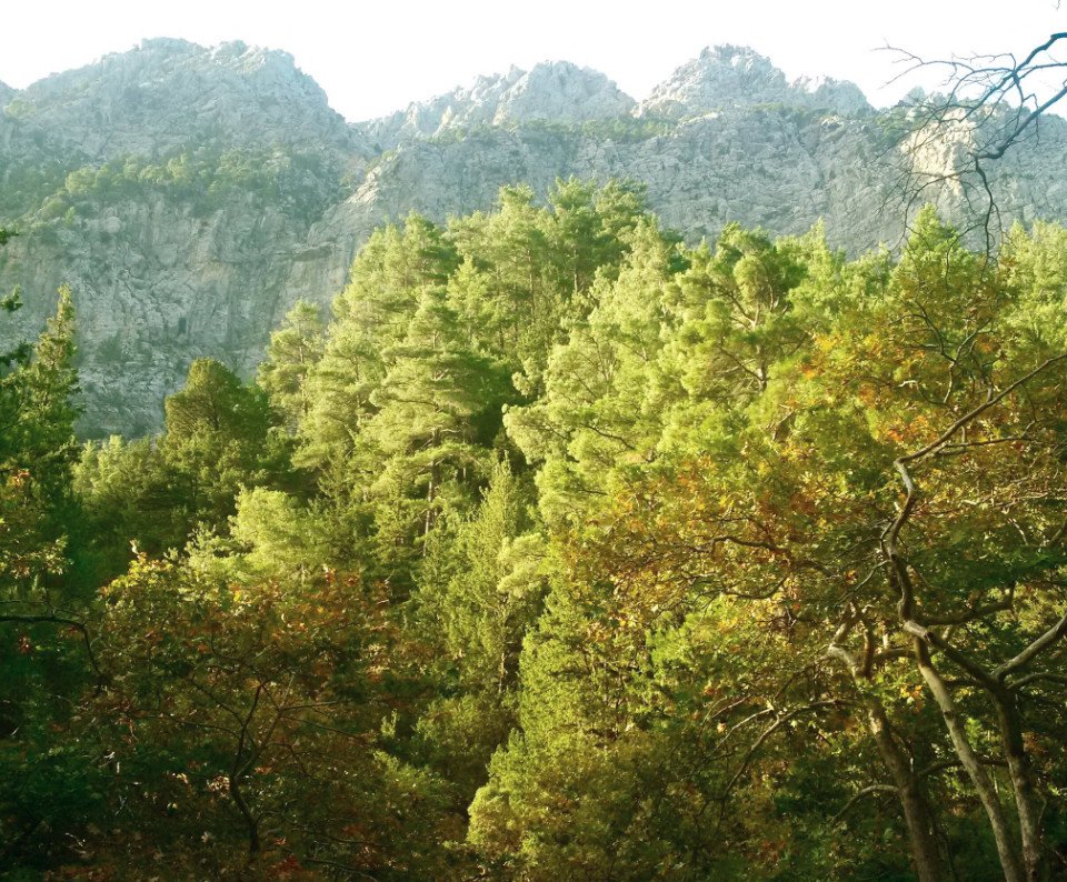 Εντυπωσιασμένος ο Αμερικανός Πρέσβης με το Φαράγγι της Σαμαριάς