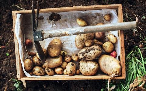 Ο αγρότης  Rohan Αnderson έστησε σάιτ με συμβουλές για να γίνεις αγρότης και έγινε ο ίδιος διάσημος [βίντεο+εικόνες] | iefimerida.gr 0