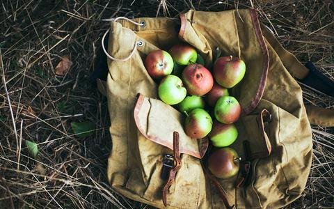 Ο αγρότης  Rohan Αnderson έστησε σάιτ με συμβουλές για να γίνεις αγρότης και έγινε ο ίδιος διάσημος [βίντεο+εικόνες] | iefimerida.gr 2