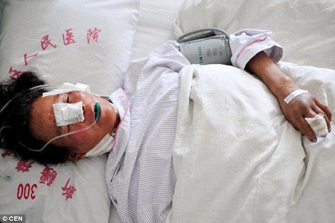 Αγέλη λύκων επιτέθηκε σε Κινέζους αγρότες -Προσπάθησαν να σώσουν τα πρόβατά τους και τραυματίστηκαν σοβαρά [εικόνες] | iefimerida.gr 2