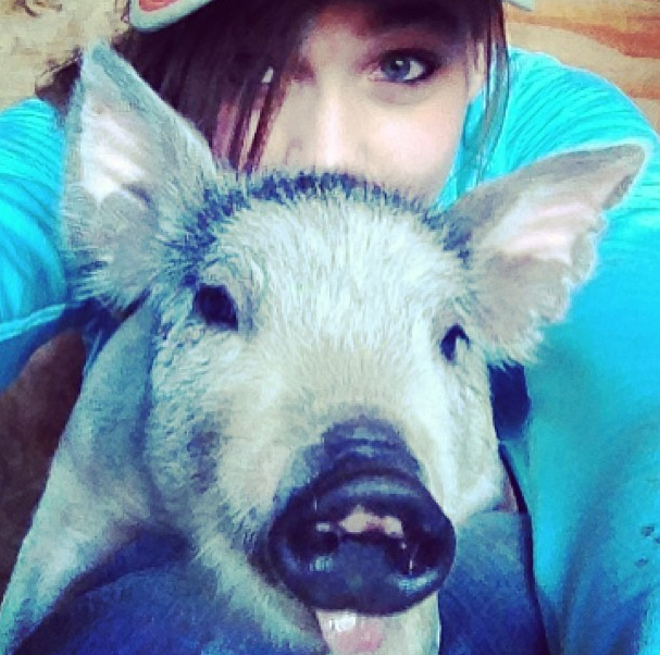 Αυτή είναι η νέα μόδα στις Selfies: Ιρλανδοί αγρότες έβαλαν τα γυαλιά στο Facebook [εικόνες] | iefimerida.gr 8