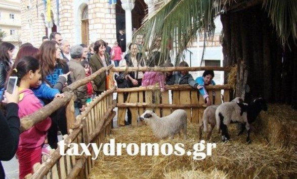 Στο τμήμα ο Μπέος για τη φάτνη με τα αληθινά ζώα [εικόνα] | iefimerida.gr 0