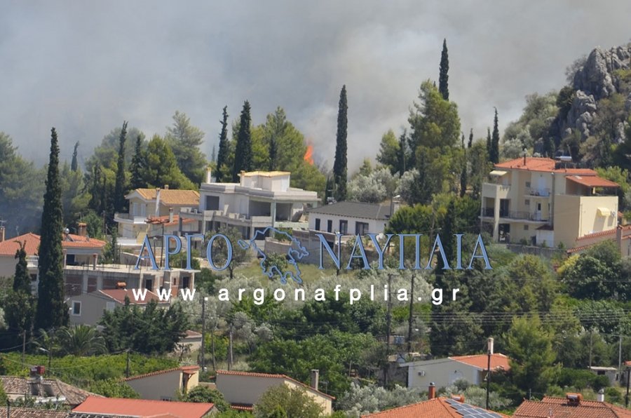 Δύο πυρκαγιές στο Ναύπλιο – Απειλούνται και κατοικίες [εικόνες] | iefimerida.gr 1