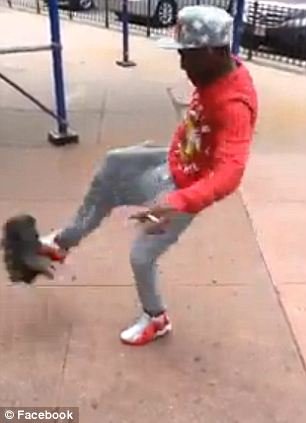 Εκσφενδονίζει μια γάτα στον αέρα και προκαλεί οργή -Ο δράστης εντοπίστηκε από χρήστες του Facebook και συνελήφθη [εικόνες&βίντεο] | iefimerida.gr 1