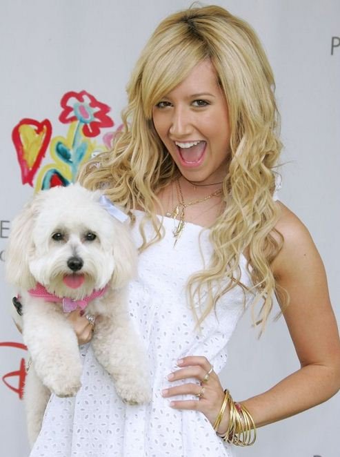 Celebrities που μοιάζουν με τα σκυλιά τους [εικόνες] | iefimerida.gr 1