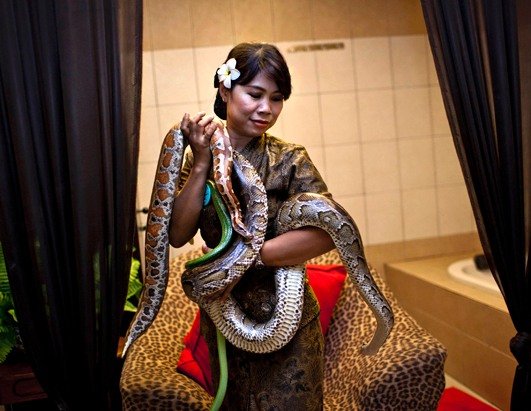 Η νέα ανατριχιαστική απόλαυση: Χαλαρωτικό μασάζ με... φίδια [εικόνες] | iefimerida.gr 3