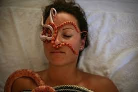 Η νέα ανατριχιαστική απόλαυση: Χαλαρωτικό μασάζ με... φίδια [εικόνες] | iefimerida.gr 4