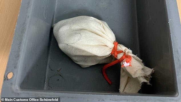 Ανδρας προσπάθησε να πετάξει έχοντας έναν βόα στο παντελόνι του [εικόνες] | iefimerida.gr 1